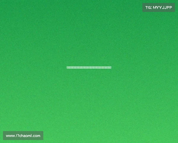 深度剖析大型体育赛事执裁全过程真实记录裁判视角关键时刻与决策